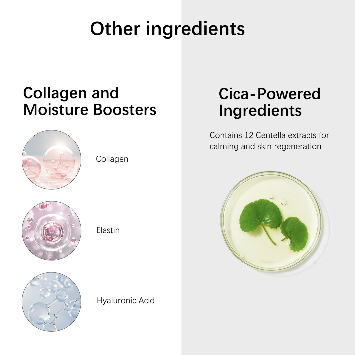Advanced Anti-Aging Cream for Radiant, Firm, Hydrated Skin