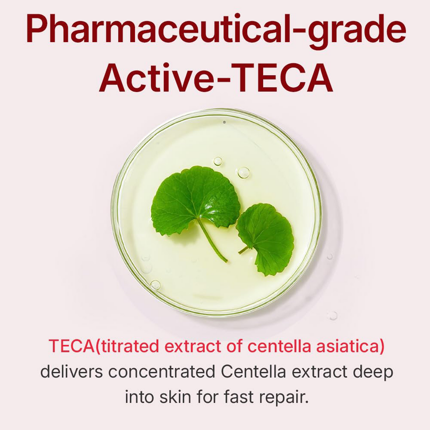 Advanced Anti-Aging Cream for Radiant, Firm, Hydrated Skin